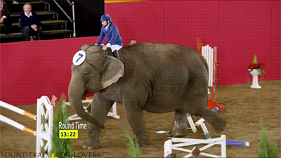 Гифка Слон преодолевает препятствия