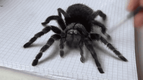 Гифка Очень реалистичный паук