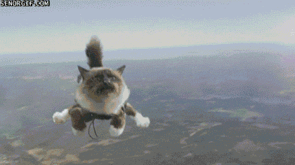 Гифка Коты-парашютисты
