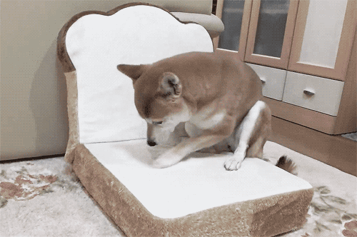 Гифка Собака роет подушку