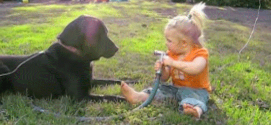 Гифка Девочка играет с собакой