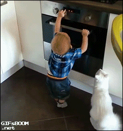 Гифка Кот не даёт ребёнку баловаться с плитой