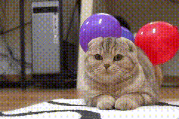 Гифка Кот с прилипшим шариком