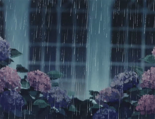 Гифка Цветы под дождём