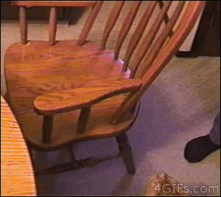 Гифка Толстый кот на стуле