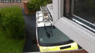 Гифка Кот прыгает на крышу с машины