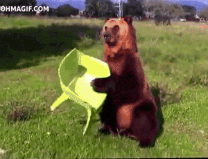 Гифка Медведь садится на стул
