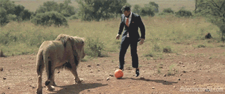 Гифка Футбол со львом