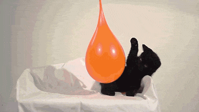 Гифка Котёнок лопнул шарик с водой