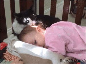 Гифка Кошка облизывает младенца