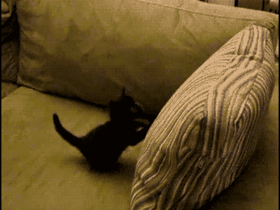 Гифка Котёнок прыгает на подушку