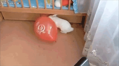 Гифка Кролик и воздушный шар