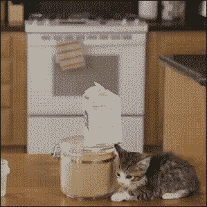 Гифка Слаженные действия котят по розливу молока