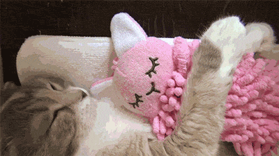 Гифка Кошка с розовой игрушкой