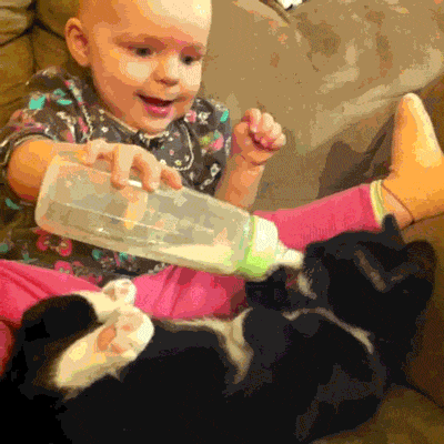 Гифка Ребёнок кормит кота из бутылочки
