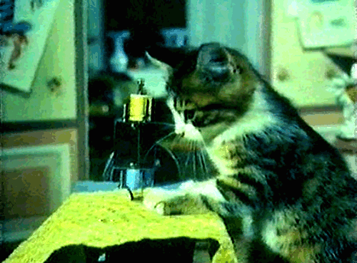 Гифка Кошка за швейной машиной
