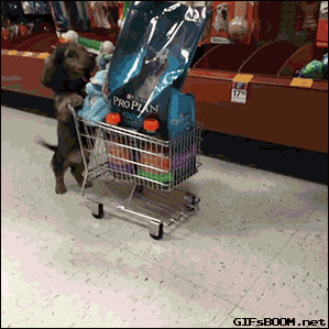 Гифка Собака в супермаркете