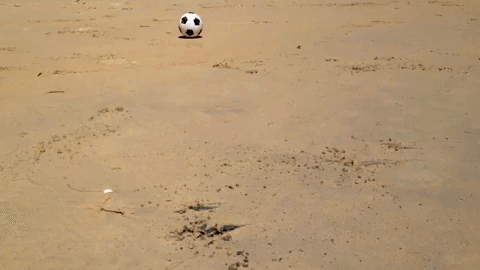 Гифка Пёс-футболист на пляже