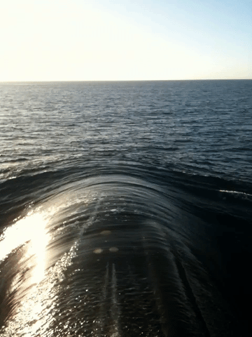Гифка Дельфин сопровождает подводную лодку