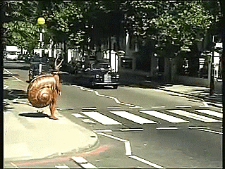 Гифка Человек-улитка переходит дорогу